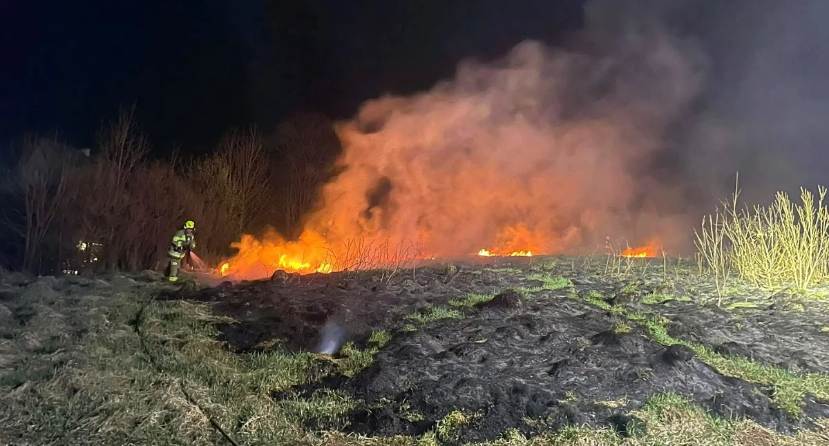 Nocny pożar traw w Łętowni, spłonęło 30 arów terenu