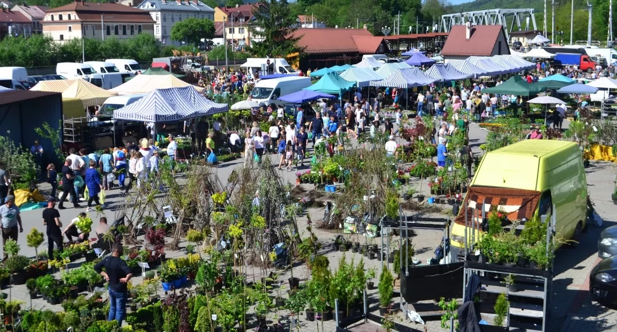 Targi Kwiatowe w Suchej Beskidzkiej. Plac targowy rozkwitnie już 1 maja