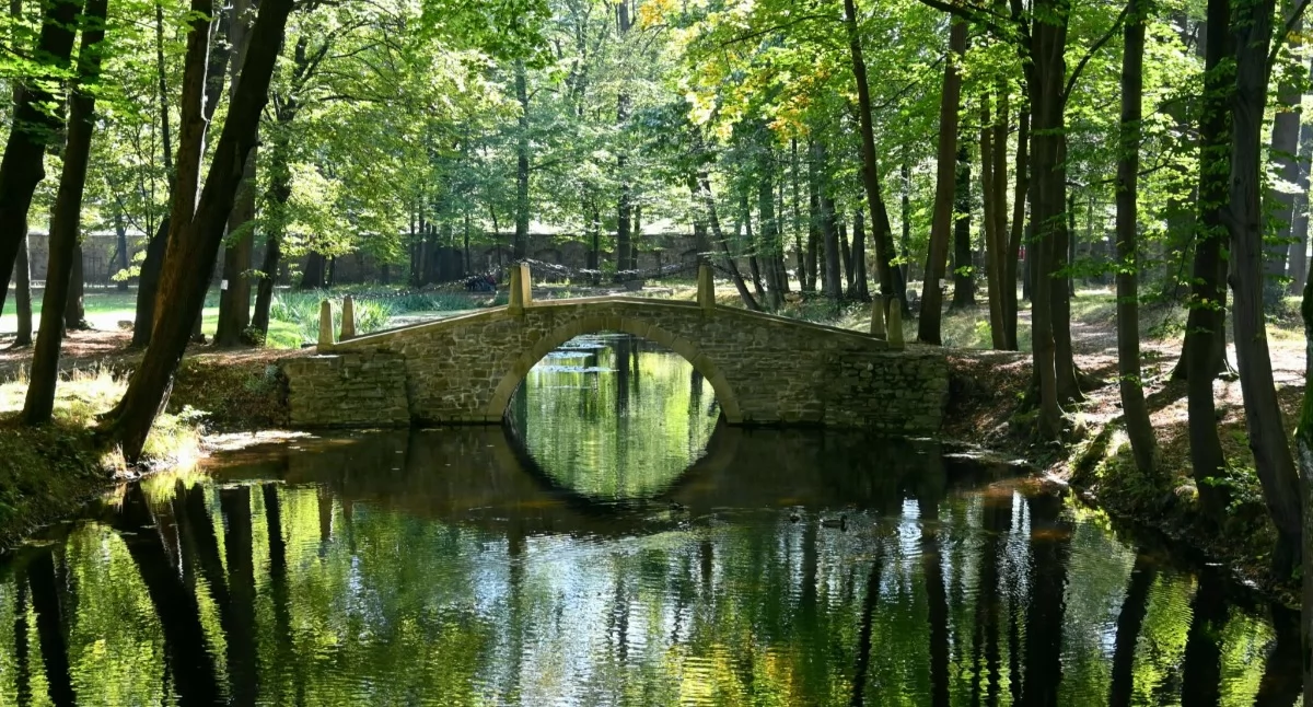 Ponad 400 tys. zł na park w Suchej Beskidzkiej. Będzie modernizacja i więcej zieleni