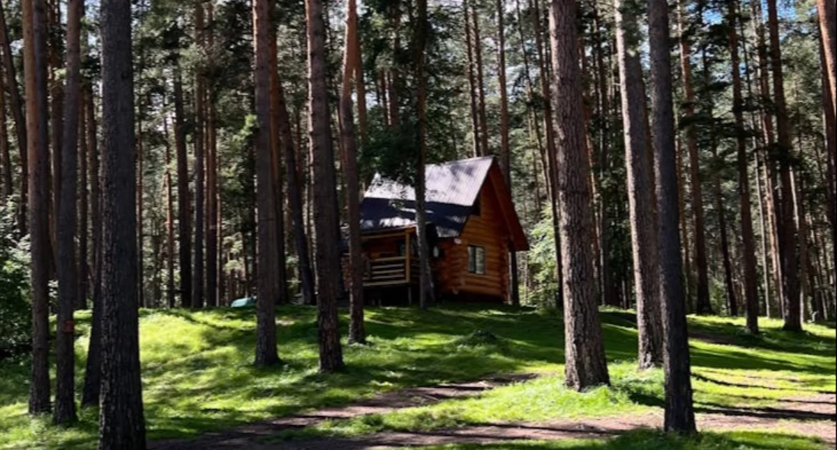 Dom przy lesie lub w górach – jak radzić sobie z kurzem, piaskiem i sierścią w powiecie suskim?