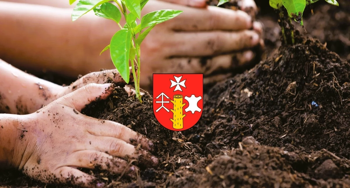 1000 drzewek i krzewów owocowych do rozdana  już w tą sobotę! 