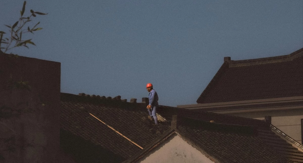 Kuna na poddaszu? Oto sygnały, że problem jest większy, niż myślisz