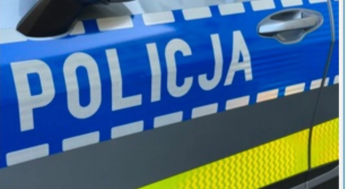 Bez serca porzucił psa na przystanku. 56-latkowi grozi więzienie