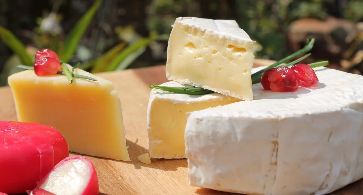 Dzień Sera Camembert. Francuska tradycja, która podbiła świat