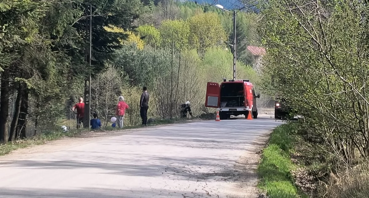 Pożar traw w Pewelce. Strażacy szybko opanowali sytuację