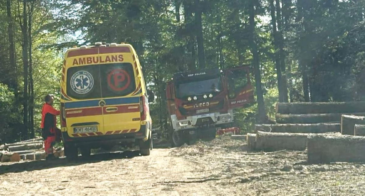 Wypadek podczas prac leśnych w Palczy. Poszkodowany pilarz. Na miejsce wezwano śmigłowiec LPR