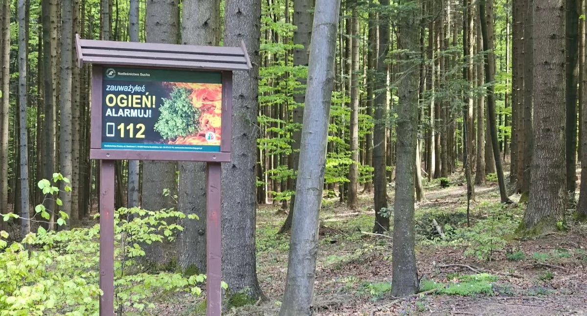 Wzrost zagrożenia pożarowego. Strażacy interweniowali kilkanaście razy