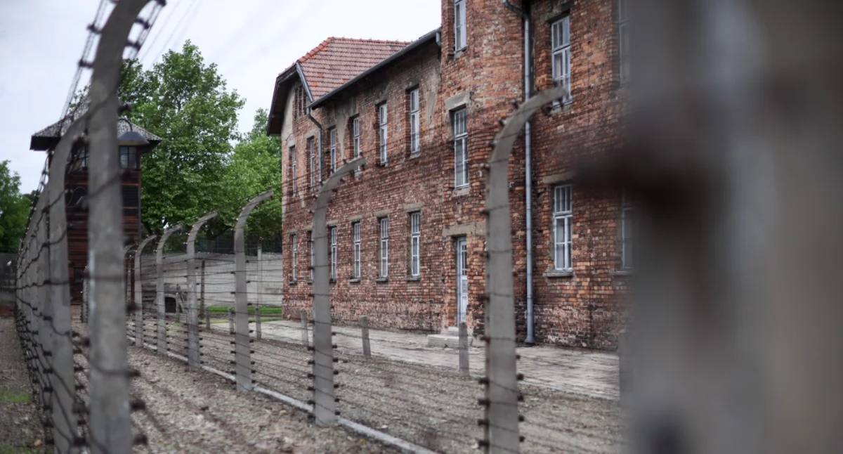 Narodowy Dzień Pamięci Ofiar Niemieckich Nazistowskich Obozów Koncentracyjnych i Obozów Zagłady
