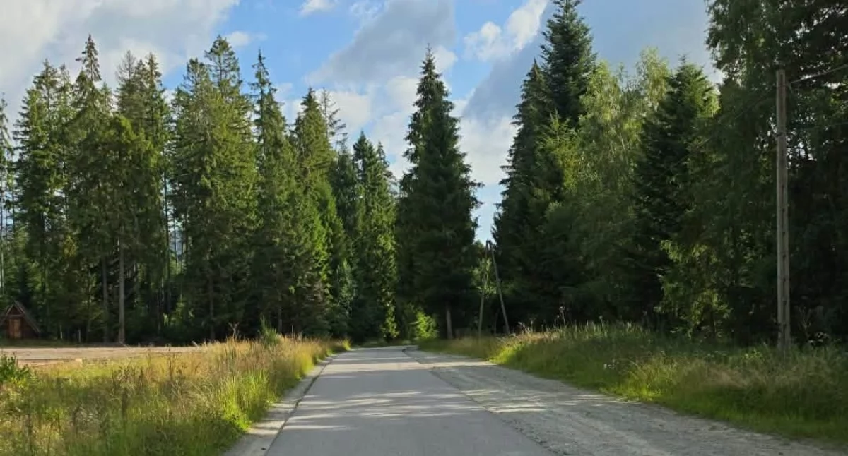 Babiogórski Park Narodowy informuje o czasowym zamknięciu drogi „Raisztag”