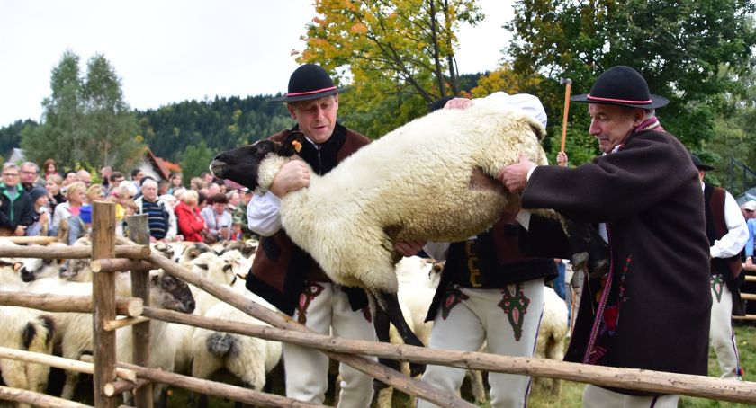 Można dostać dotację na działania kulturalne. Jakie są kryteria?