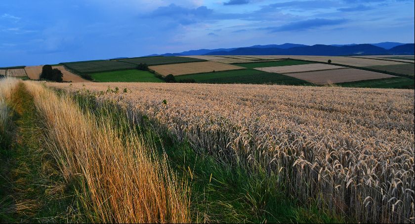 Jak wygląda współczesna wieś? Trwa projekt badawczy