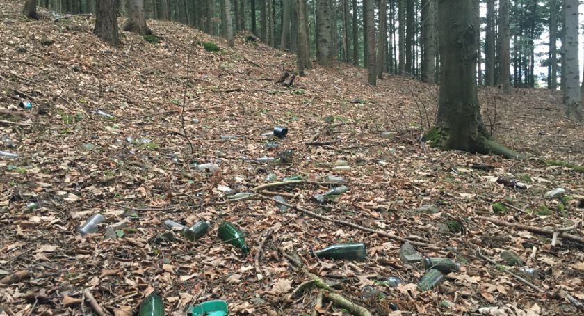 Krzeszowianie biorą sprawy w swoje ręce! Szykują wielkie sprzątanie 
