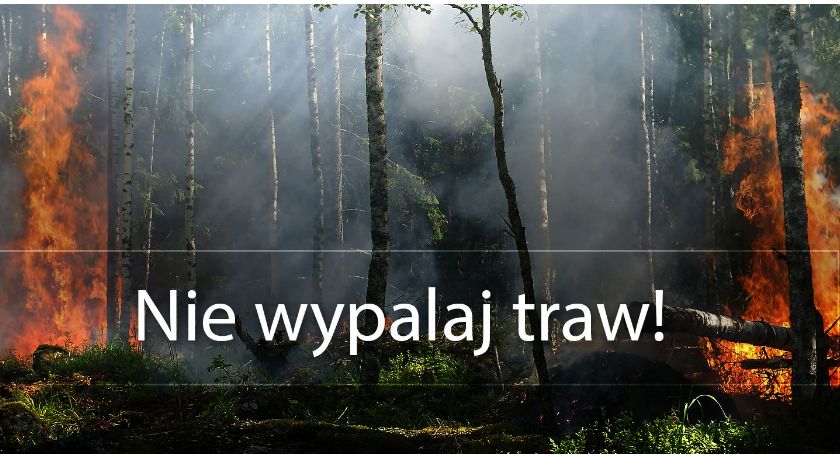 Wypalanie traw to przestępstwo 