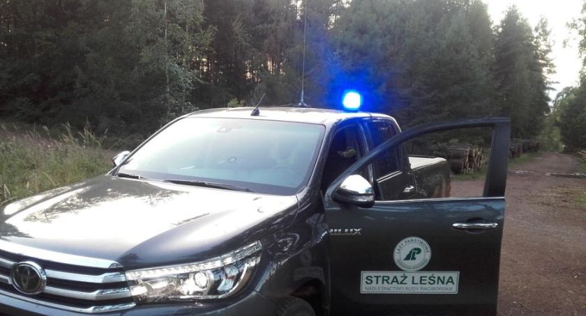 Policjanci i strażnicy leśni tropili... konie mechaniczne 