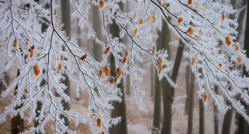 Znowu gwałtowne ochłodzenie 