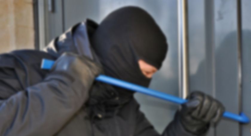 Gdy wszyscy śpią, oni ruszają kraść 