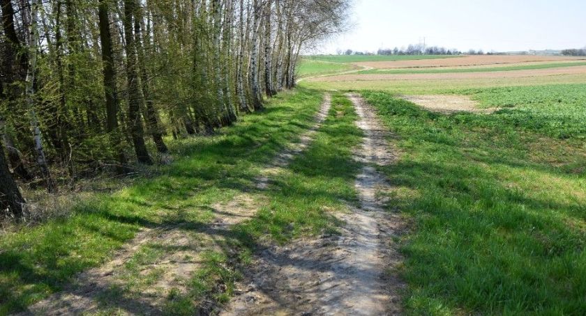 Gmina Jordanów wyremontuje pięć dróg