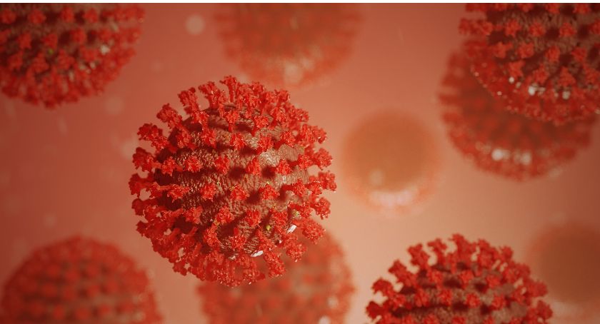 Najnowsze dane epidemiczne