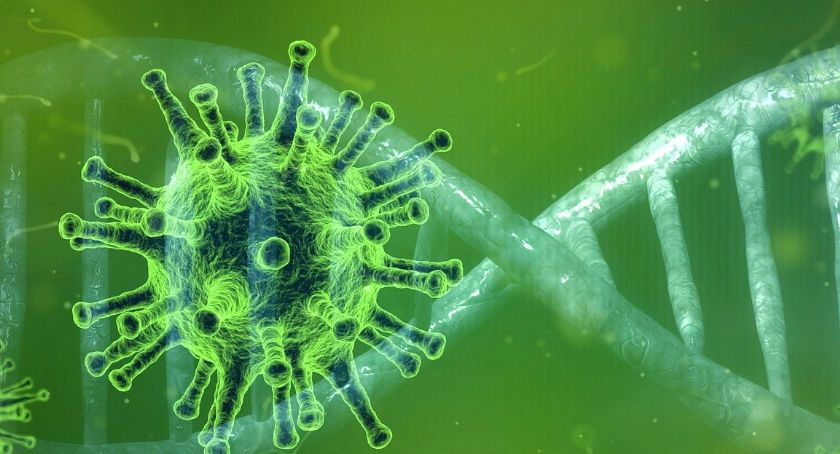 Kolejny dzień dobrych danych epidemicznych, ale jedna rzecz mocno zastanawia 