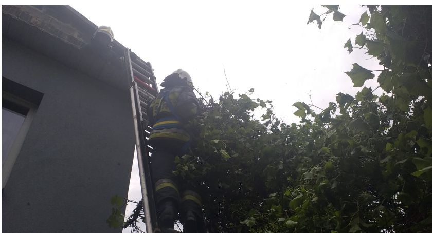 Ulewa i wiatr wyrządziły szkody 