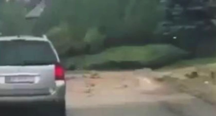 Kolejna nawałnica przeszła przez powiat suski. Doszło do podtopień i łamania się drzew (video)
