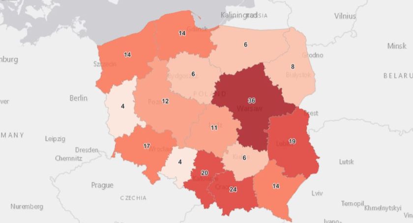 (Korona)wirus się kluje 