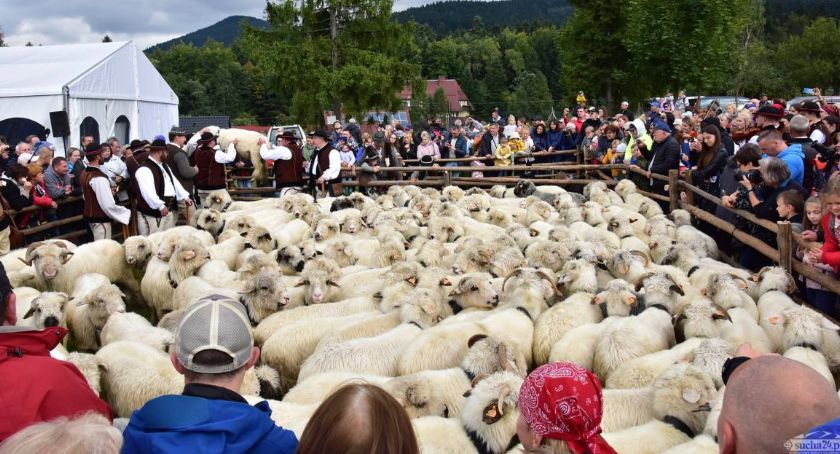 Pogoda nie rozpieszczała, a na Babigórską Jesień przybyły tłumy! (zdjęcia i video)