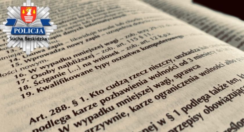 Suscy policjanci zatrzymali dwóch wandali