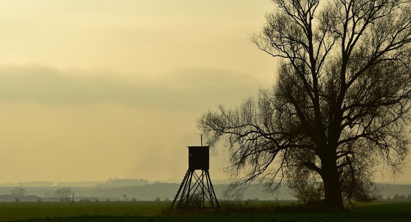 Koło Łowieckie „Odyniec” przedstawiło plan polowań zbiorczych