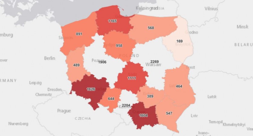 Ponownie ogromna ilość zgonów 