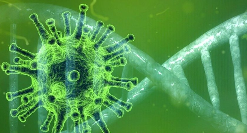 Pandemia koronawirusa - dwanaście zakażeń w powiecie suskim