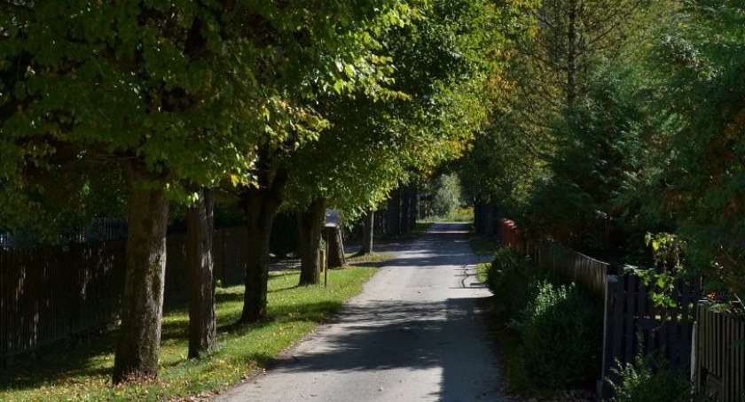 Pochwalili się lampami, które nie świecą