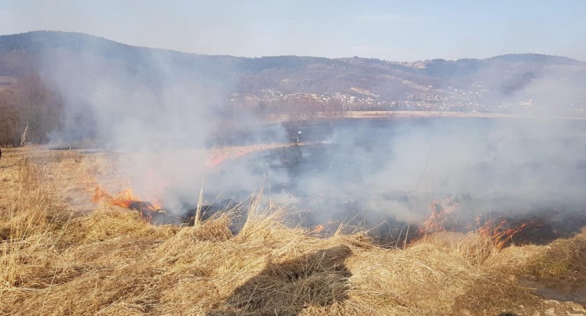Grzechynia: Dwa razy do pożaru. Trawy nie dają spokoju 