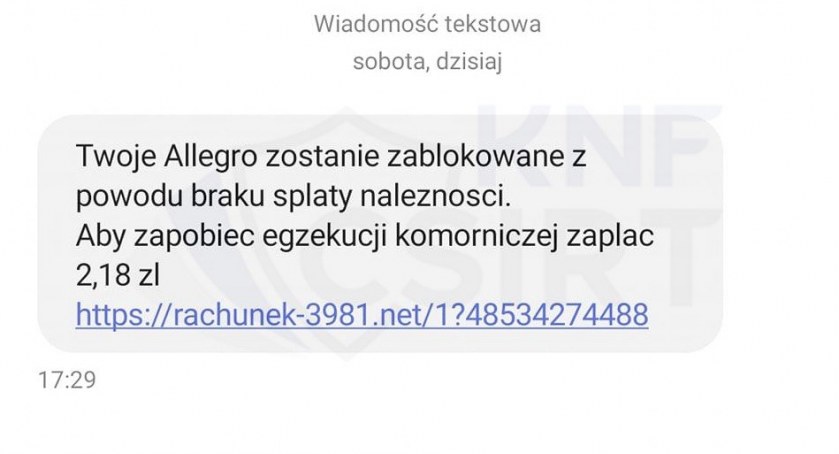 Na Allegro i Pekao. Uwaga, to nowe sposoby wyłudzania pieniędzy