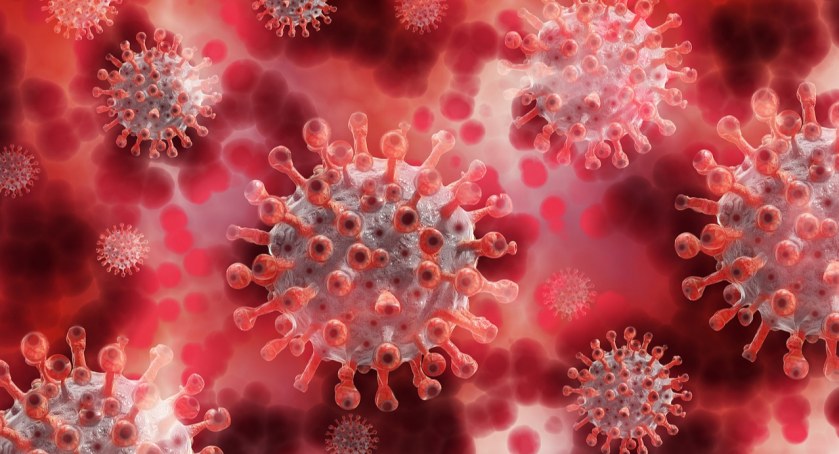 Wtorkowy raport epidemiczny 