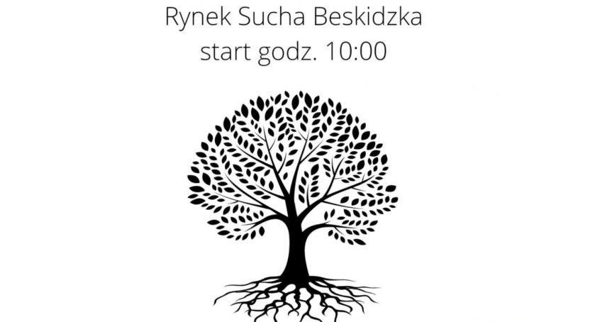 Będą rozdawać drzewka, ale nie 