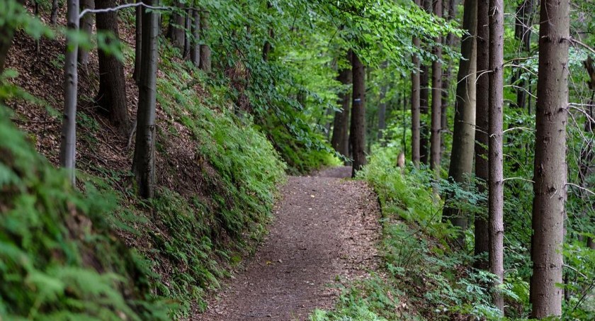 Utrudnienia na dwóch beskidzkich szlakach. Oba mają ten sam kolor
