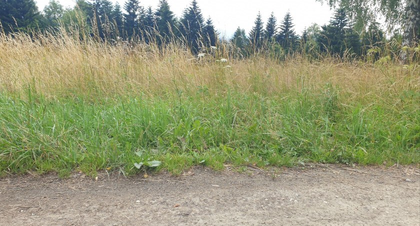 Burmistrz apelu do mieszkańców. Tym razem nie chodzi o oszczędzanie wody!