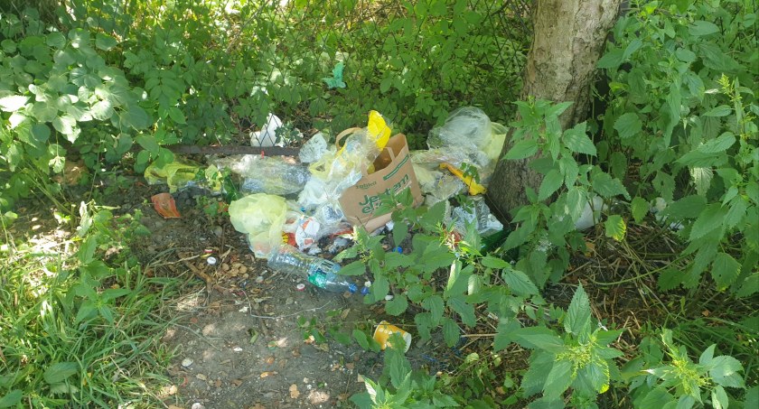 Eko była tylko torba, czyli… śmieci w krzakach, odpadki na poboczu 