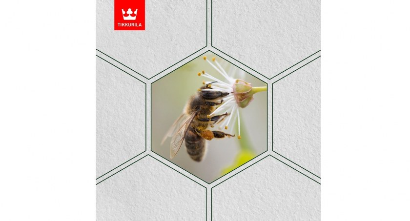 Tikkurila ze wsparciem dla Natury