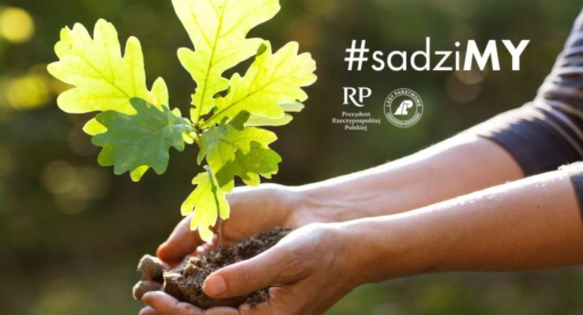Posadź drzewo z leśnikami i prezydentem 