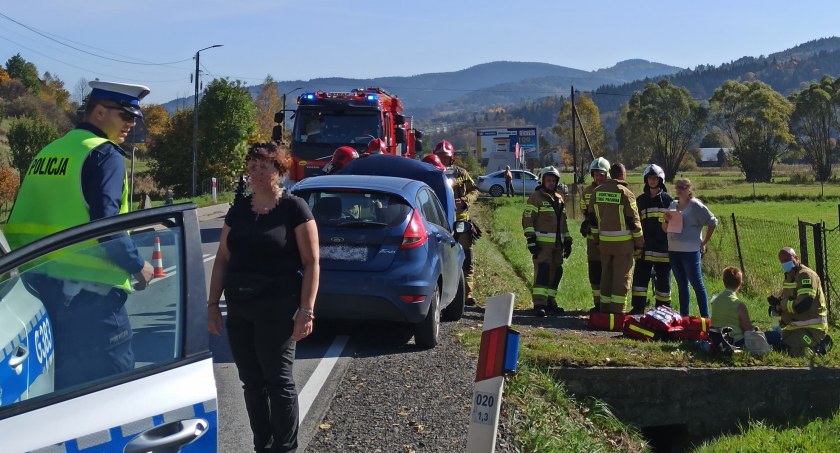Jeleń nie przeżył wypadku. Pasażerka trafiła do szpitala 
