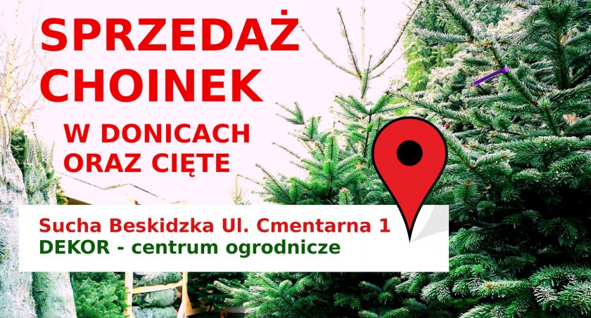  Centrum ogrodnicze DEKOR: Sprzedaż choinek w Suchej Beskidzkiej