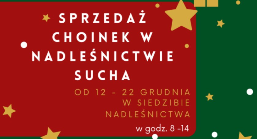 Przyjdź po drzewko pachnące lasem