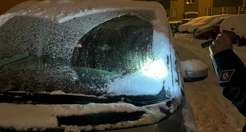 Pies na mrozie zamknięty w samochodzie - Reaguj, gdy życie zwierzaka jest zagrożone  