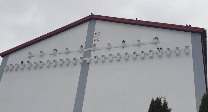 Na szkole w Juszczynie zamontowano kilkadziesiąt… ptasich budek! 