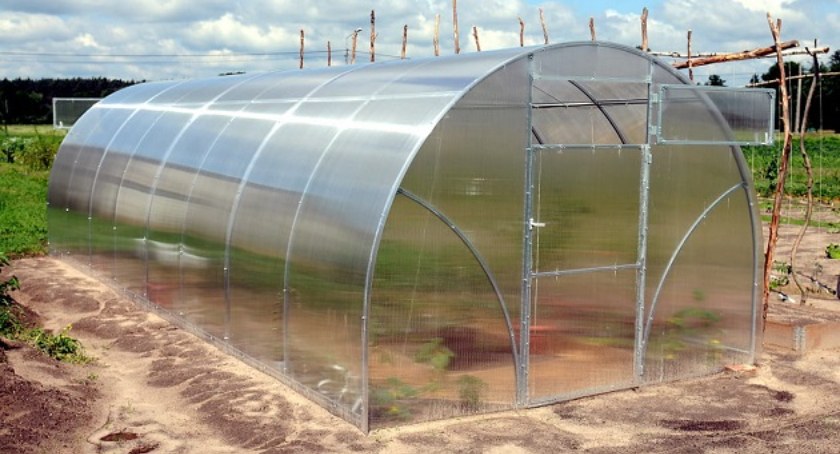 Szklarnie w Krakowie - gdzie kupić i jaki tunel wybrać?