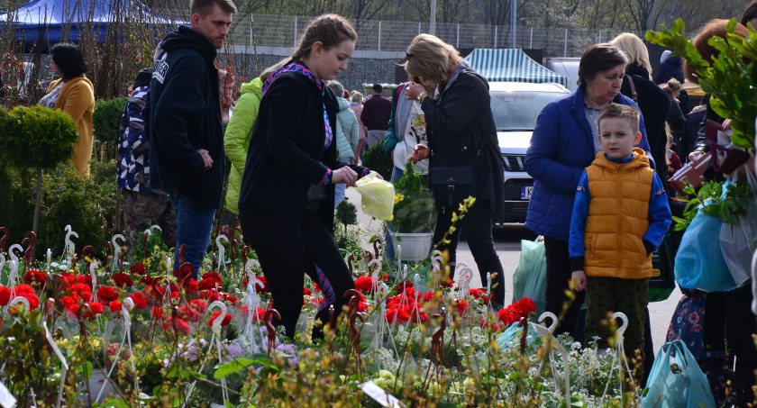 Targi Kwiatowe w Suchej Beskidzkiej już 1 maja
