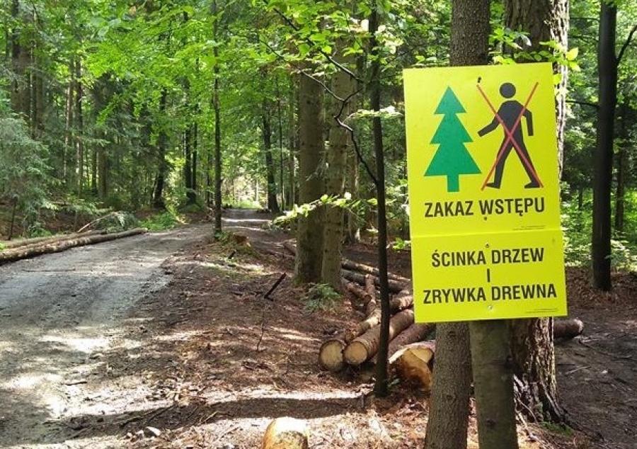 Zakaz wstępu na niektóre leśne szlaki