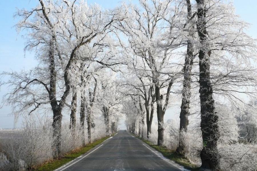 Po zmroku piesi będą bardziej bezpieczni